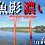 【バス釣り】初場所！高滝湖でおかっぱり釣行　結果はいかに・・・