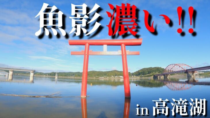 【バス釣り】初場所！高滝湖でおかっぱり釣行　結果はいかに・・・