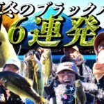 芸能人バスフィッシングチャンピオンシップ【釣れまくり編】