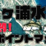 （永久保存版）最新！霞ヶ浦バス釣りポイント大公開（基本編）