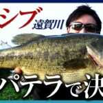 【釣り時季】”激渋”の海遊び ＆ シビアな遠賀川ブラックバスを攻略！