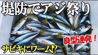 堤防でサビキ釣りしたらアジ祭りだった！サビキ針にワームが付いた仕掛けを投入すると良型のアジが連発！←爽やかに食べます