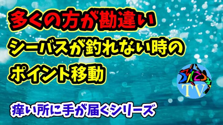 シーバス釣りのポイント移動はどうするのが良いのか真実を解説します！初心者　中級者　必見【痒い所に手が届くシリーズ】