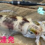 【エギング】簡単！投げて流れに乗せると冬イカ釣れる件　このエギは・・・