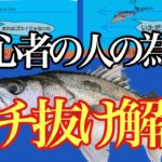 シーバス初心者の人の為のバチ抜けシーバスの釣り方