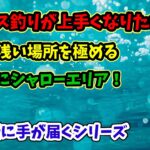 シーバス釣りが上手くなるにはシャロー攻略が絶対条件！初心者 中級者必見【痒い所に手が届くシリーズ】