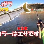 【シーバス】ジョイクロはエサ釣り