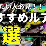 【バス釣り】正直釣れる！厳選おすすめルアー５選！！