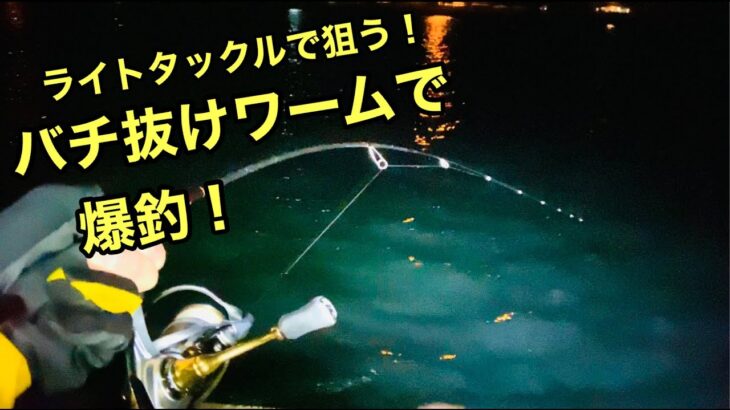 那珂川河口シーバス釣り【2022年2月上旬】バチ抜けワームで爆釣！