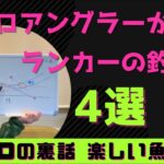 【ルアーシーバス】たったこれだけランカーシーバスの釣り方4選　初心者中級者上級者シーバスルアー