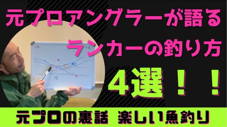 【ルアーシーバス】たったこれだけランカーシーバスの釣り方4選　初心者中級者上級者シーバスルアー