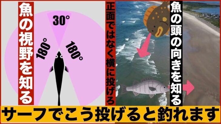 5分でわかる！サーフで釣れるルアーの投げ方と引くコースについて