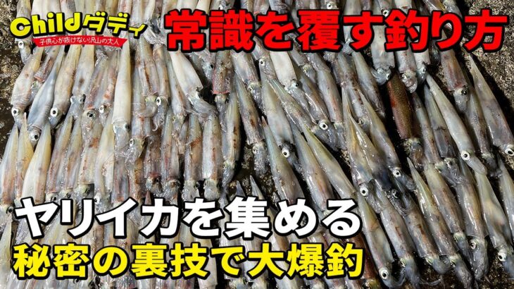 【ヤリイカ】明かりはNGの常識を覆す新ヤリイカ釣法【灯火フィシング】