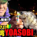 【釣りYOASOBI】バス釣りタックルで全然OK！小さなジョイクロで東京メバルを釣り上げよう！