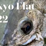 海 フライフィッシング タックル（東京フラットでシーバス釣り）#saltwaterflyfishing  4k