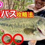 【早春のバス釣り解説】確実にバスは動く!! ３月はどんなことを意識して釣って行くか？【水の旅＃ １２５】