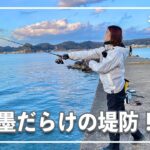 【釣りガール】イカが見える堤防でエギング釣行