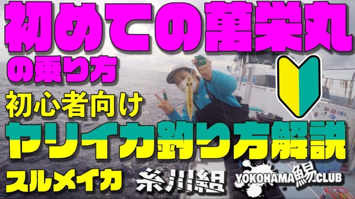 【初心者向け 誰でも釣れる ヤリイカ スルメイカ 釣り】千葉の人気船宿さん萬栄丸さんでヤリイカ スルメイカ釣り 乗船の仕方から 釣り座 の作り方や 基本的な釣り方 テクニック まで丁寧に解説します～