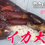 伊江島付近の激熱スポットでイカ釣り！