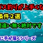 シーバス釣りが上手くなりたい初心者、中級者の方は絶対にやって下さい