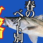 春のシーバスの釣り方。春シーバスのベイト別パターンを解説