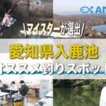 【バス・ワカサギ】愛知県おすすめ釣りスポット紹介！入鹿池で、ブラックバス・ワカサギ釣りをしてみた！