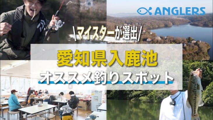 【バス・ワカサギ】愛知県おすすめ釣りスポット紹介！入鹿池で、ブラックバス・ワカサギ釣りをしてみた！