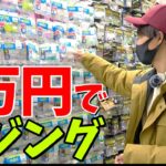 【初心者入門】予算1万円でアジングは出来るのか？！低価格タックルガチ検証《購入編》