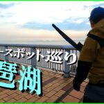 春の琵琶湖メジャースポット巡り2022【バス釣り】【おかっぱり】