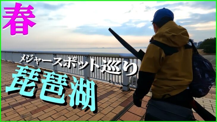 春の琵琶湖メジャースポット巡り2022【バス釣り】【おかっぱり】