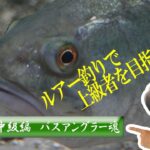 【ヒロ内藤流バス釣り】202　ルアー釣り上達法！【バスフィッシング202】