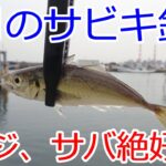 2022年3月　サビキ釣り、ウキ釣りでアジとサバが絶好調　茨城県