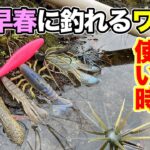 【バス釣り】3月春おすすめワーム!!上旬・下旬の早春ルアーの使い方や動かし方を解説してみた【ラバージグ】【スモラバ】【ミドスト・ホバスト】