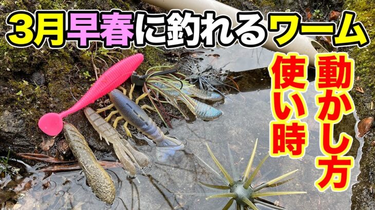 【バス釣り】3月春おすすめワーム!!上旬・下旬の早春ルアーの使い方や動かし方を解説してみた【ラバージグ】【スモラバ】【ミドスト・ホバスト】