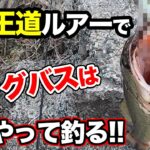 【バス釣り】春のおすすめルアーで野池デカバスの釣り方!!釣れない時もあるけど取り返したラッキー？フィッシュ【3月のバス釣り】【今年は遅め】【春のバス釣り】