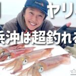 【イカ釣り】3月洲崎＆白浜　100匹以上釣れてるってよ！爆釣ポイントはここだ！