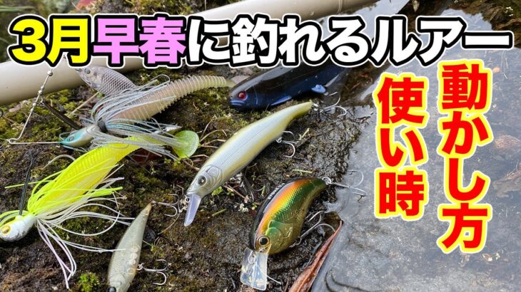 【バス釣り】3月ルアー早春・春のおすすめ!!クランクベイト・ビッグベイト・シャッドの動かし方や使い方を解説してみた【スピナーベイト】【巻物】【2022年最新版】