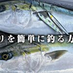 【春到来】90cm超えのブリが連発中！！今、青物を簡単に釣る方法を徹底解説！！！！