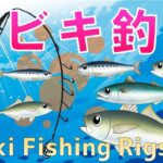 【サビキ釣りSabiki】ファミリーフィッシング初心者釣り入門仕掛けとおすすめアイテムSabiki Fishing Rigs