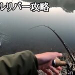 【早春のバス釣り】春の濁りにはやっぱりこのルアーが最強