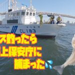 シーバス釣ったら捕まった💦