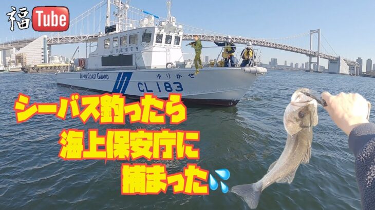 シーバス釣ったら捕まった💦