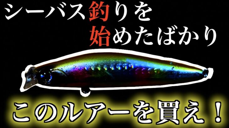 【シーバス】これを投げれば間違いない！初心者でも釣れるルアー第３弾！