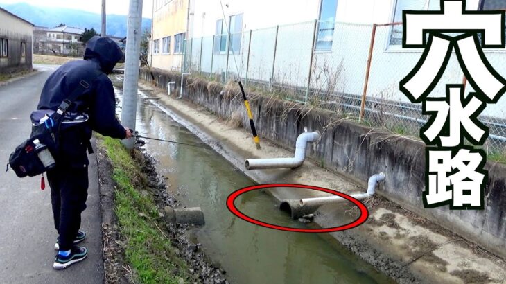 【春のバス釣り】増水した水路の怪しい穴にルアー投げまくった結果！【釣りスタイルダンジョン】