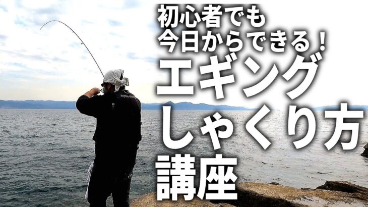 初心者必見！基本から応用まで、エギングの「シャクリ方のコツ」を、解説しながら実演します!!