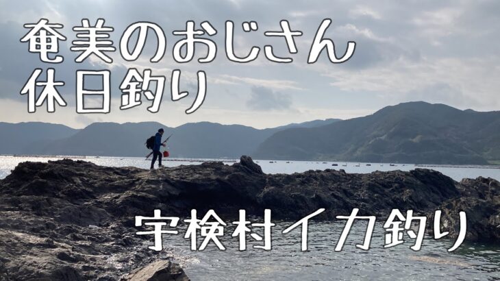 奄美のおじさん休日釣り　宇検村イカ釣り編