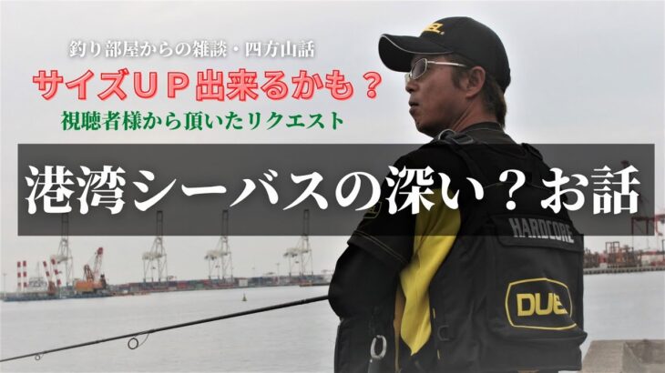 過去にサイズＵＰ出来るかも？港湾シーバスの深い？お話・釣り部屋からの雑談・四方山話３５・視聴者様から頂いたリクエスト