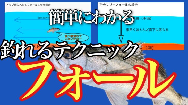 シーバス釣りに大事なフォールの使い方。初心者の人や始めたばかりの方のシーバスの釣り方