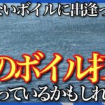 釣れないボイル攻略法・シーバス釣りで釣れないボイルに出逢ったら