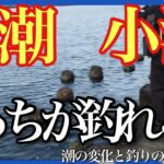 シーバス釣りで大事な潮の満ち引きと釣れる理由を解説